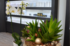 Trend Kosmetik Speyer